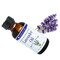 Natural Lavender Oil for Floral and Calming Flavor in Desserts Candies and Beverages